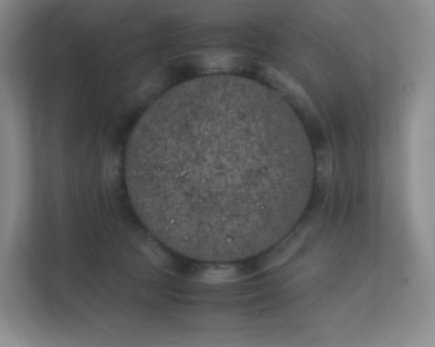 X0000111500369200907211035