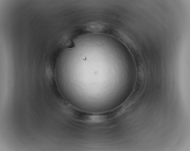 X0000111500371200907211035