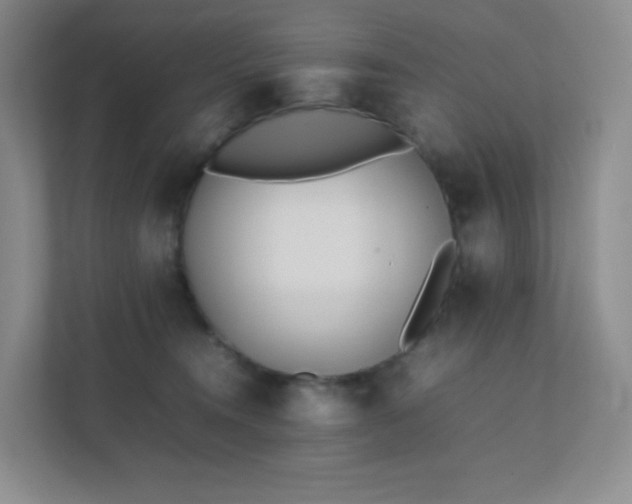 X0000111500372200907211035