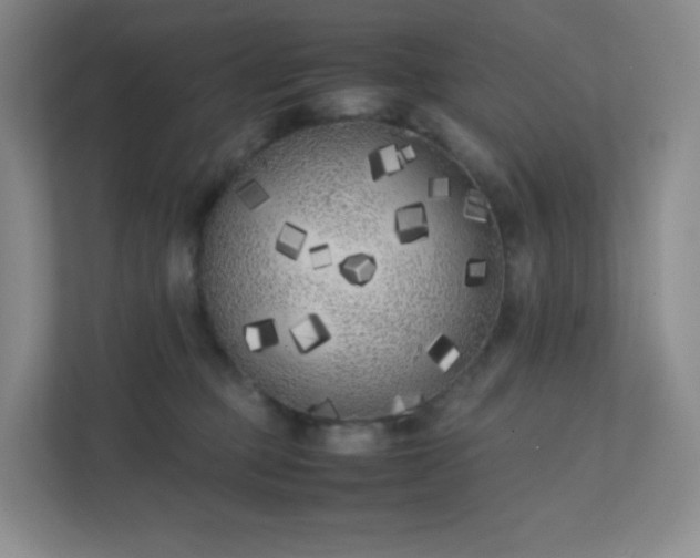 X0000111500373200907211035