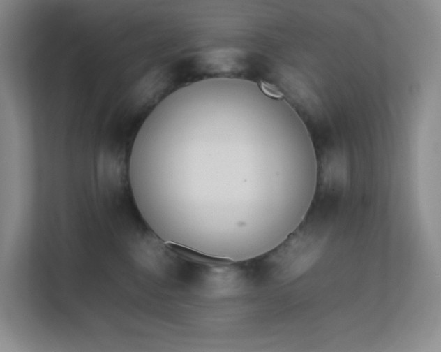 X0000111500376200907211035