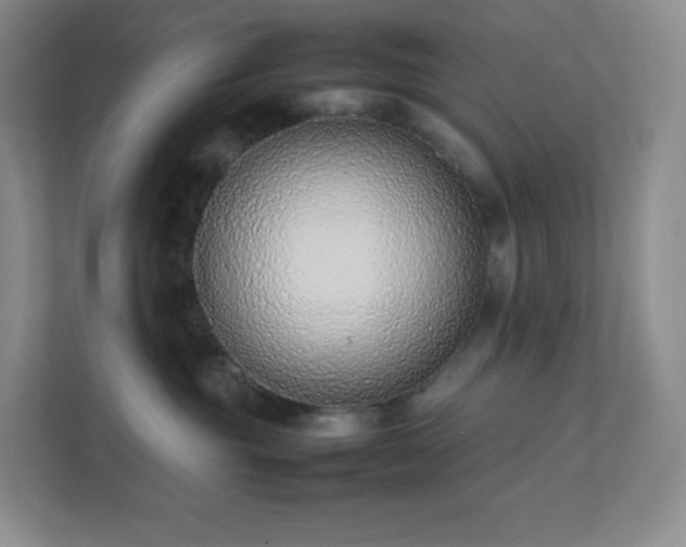 X0000111500381200907211035