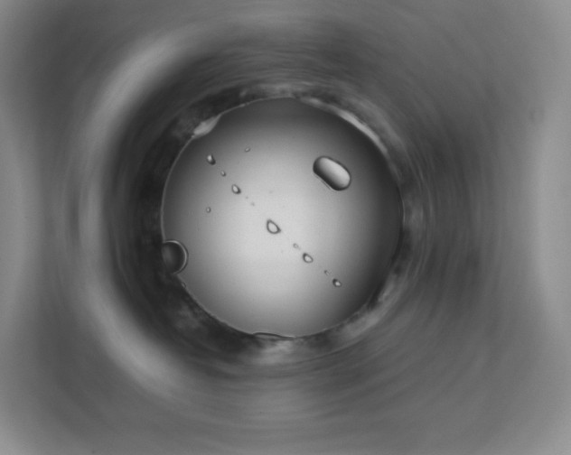 X0000111500382200907211035