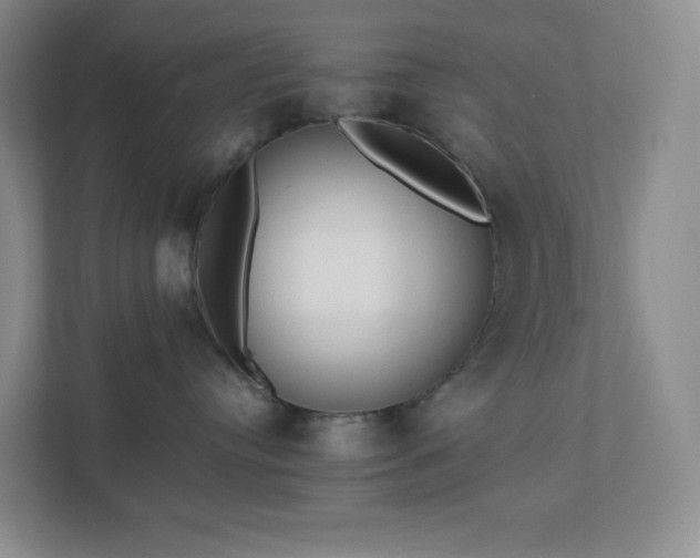 X0000111500384200907211035