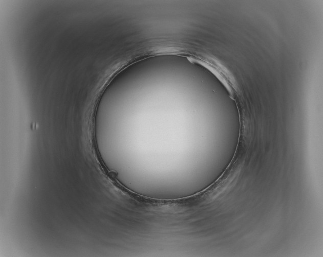 X0000111500385200907211035