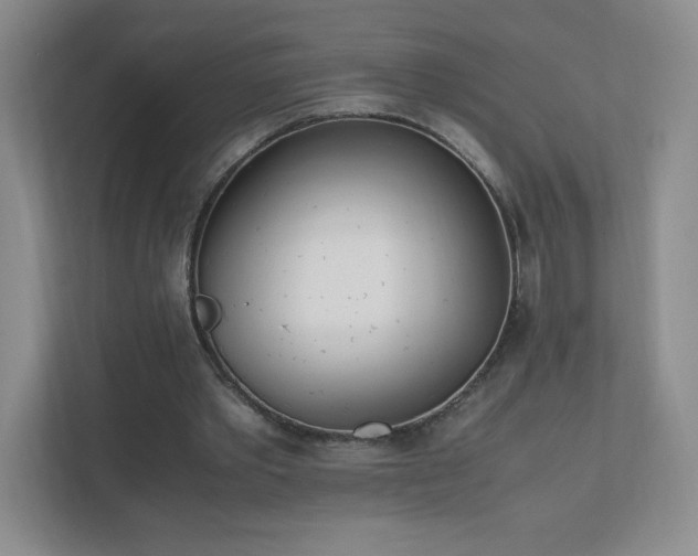 X0000111500389200907211035