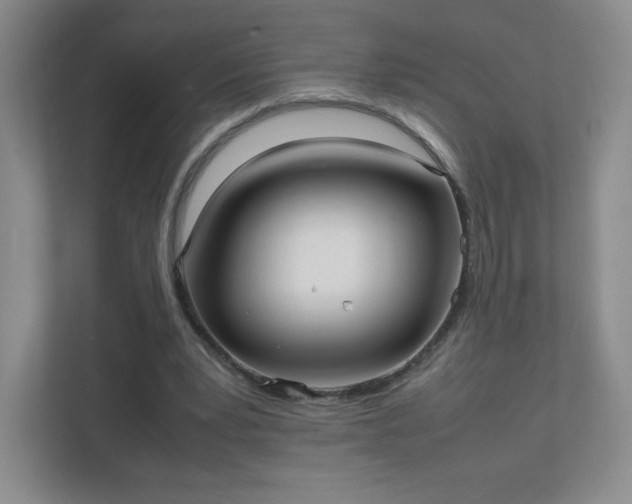 X0000111500391200907211035