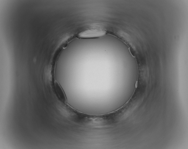 X0000111500395200907211035