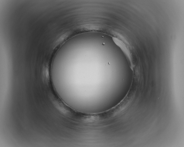 X0000111500398200907211035