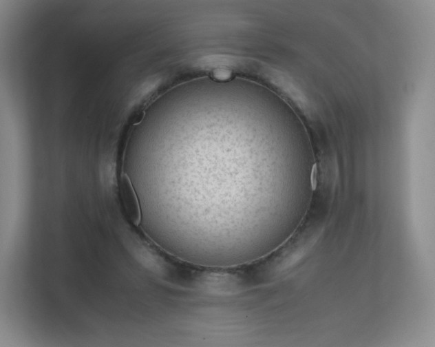 X0000111500399200907211035