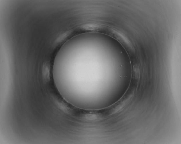 X0000111500404200907211035