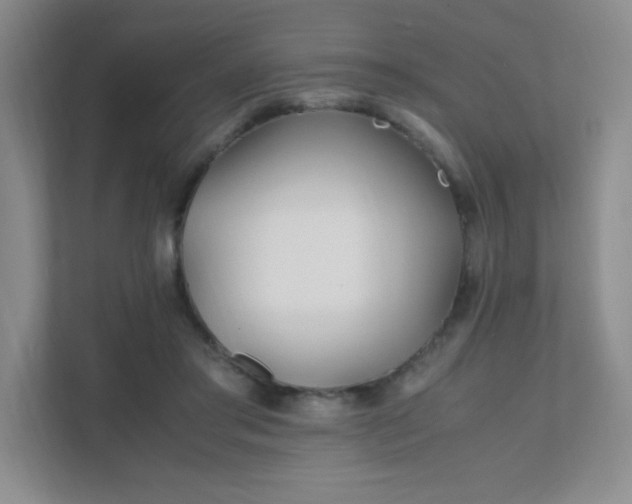 X0000111500405200907211035