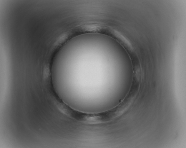 X0000111500407200907211034