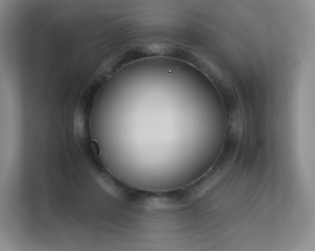 X0000111500408200907211034