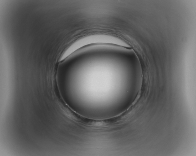 X0000111500409200907211034