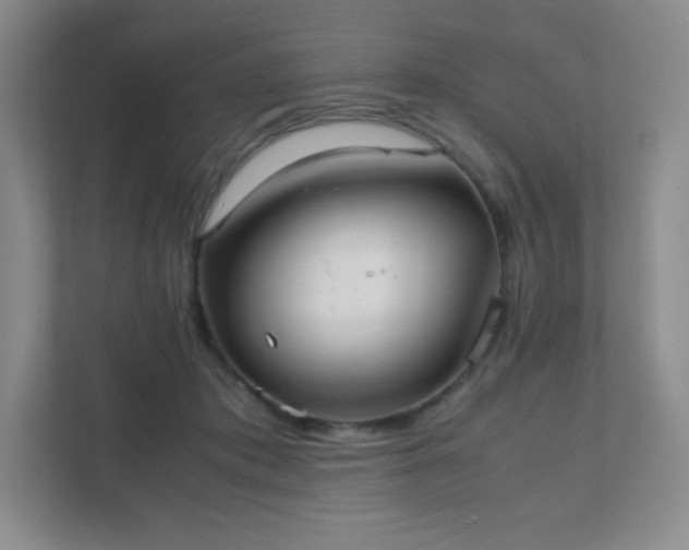 X0000111500413200907211034