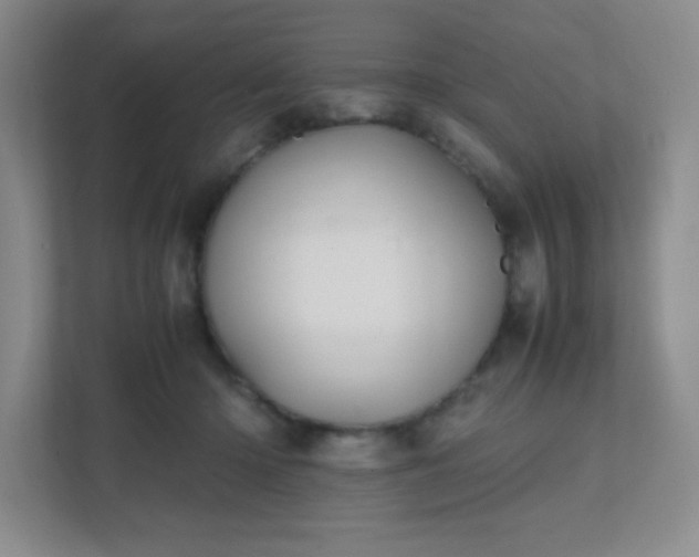 X0000111500414200907211034