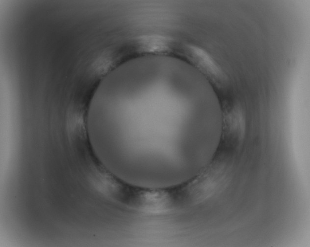 X0000111500415200907211034