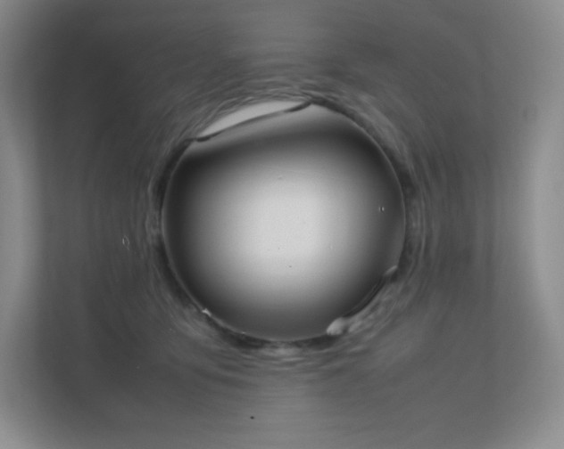 X0000111500419200907211034