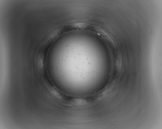 X0000111500424200907211034