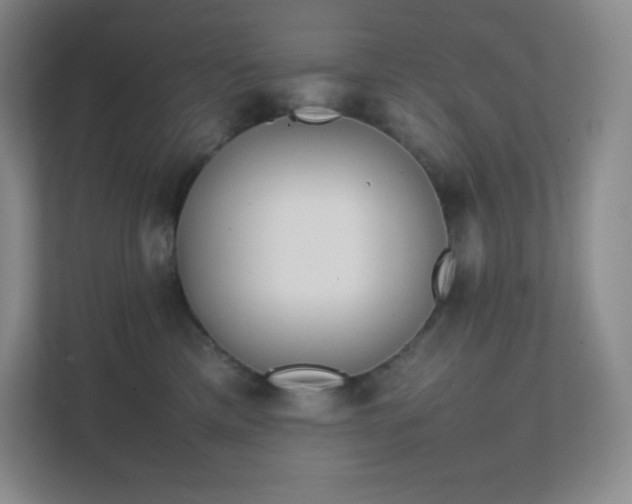 X0000111500425200907211034