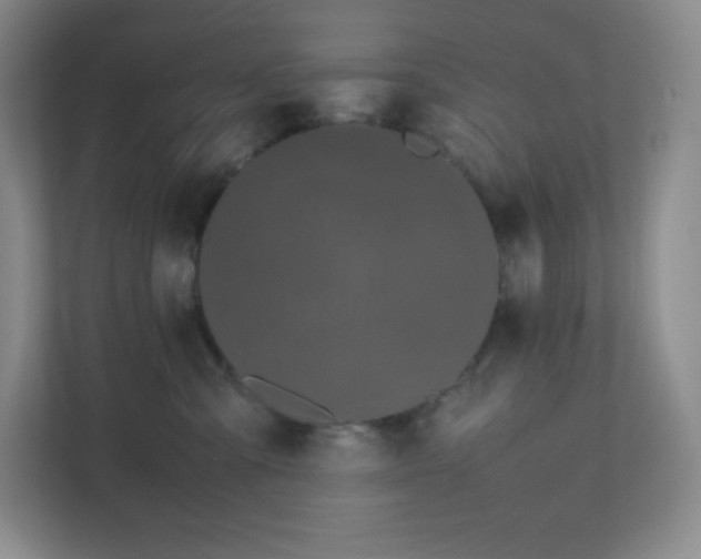 X0000111500427200907211034