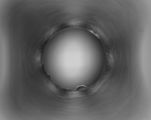 X0000111500428200907211034