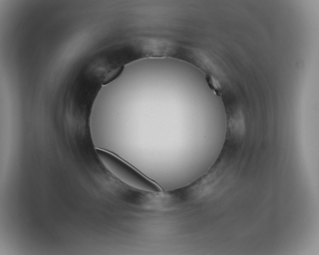 X0000111500429200907211034