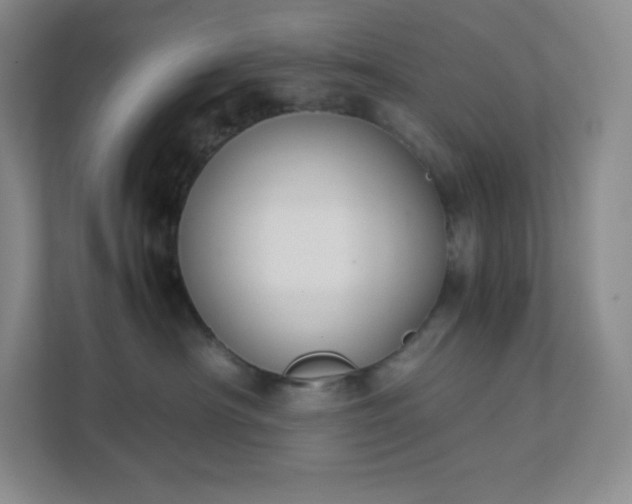 X0000111500430200907211034