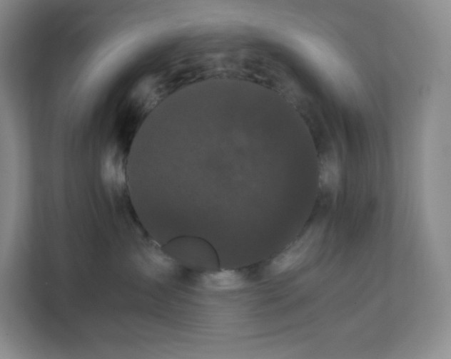 X0000111500431200907211034