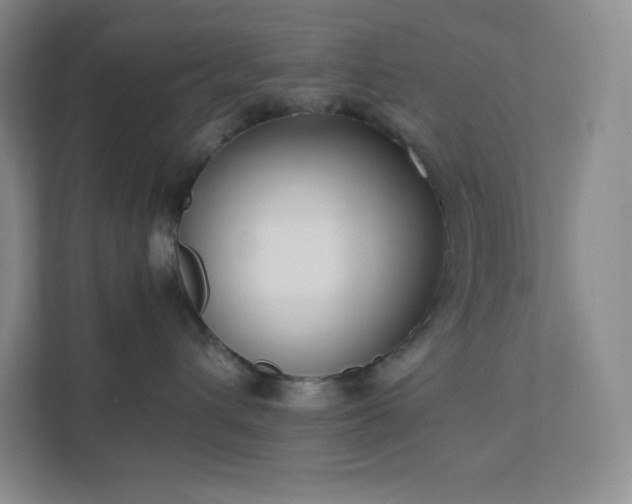 X0000111500432200907211034