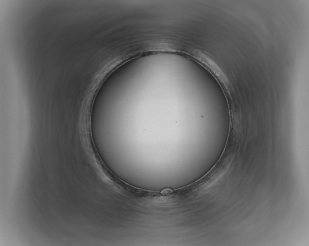 X0000111500433200907211034