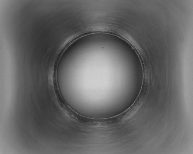 X0000111500434200907211034