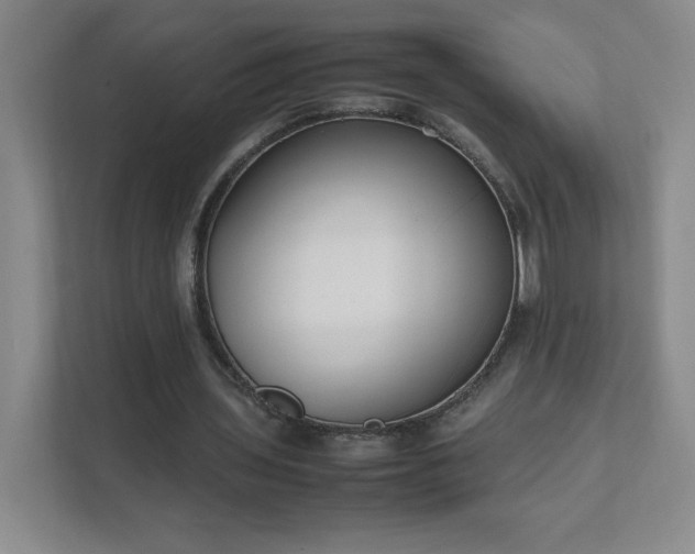 X0000111500435200907211034