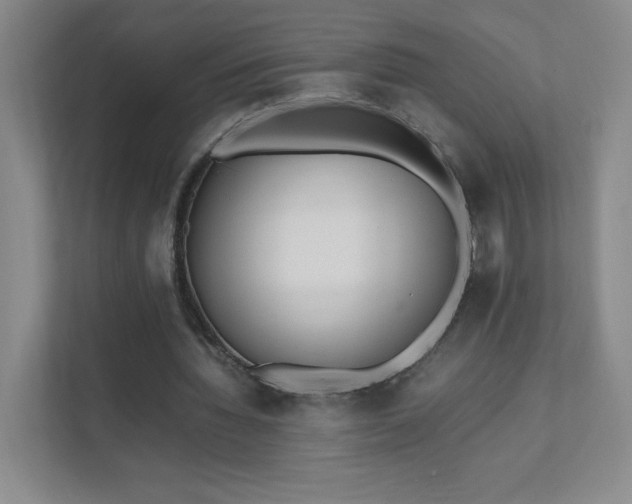 X0000111500436200907211034