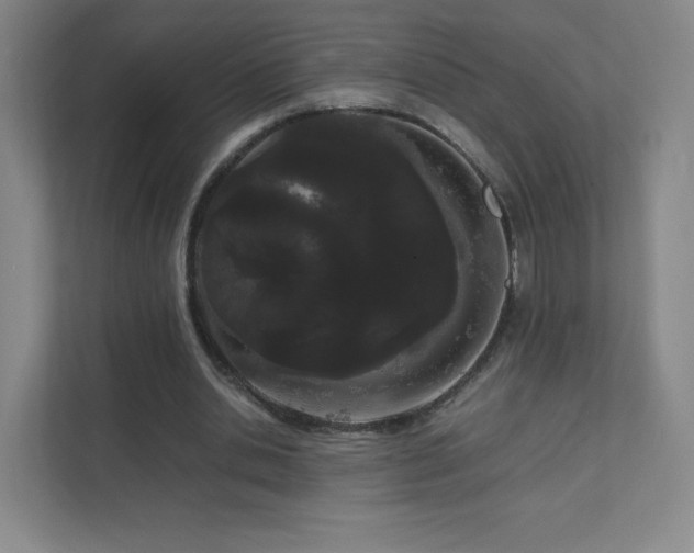 X0000111500438200907211034