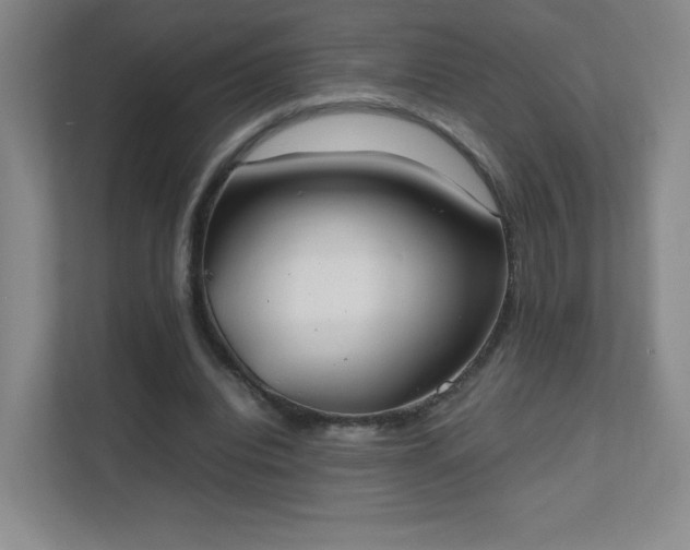 X0000111500440200907211034