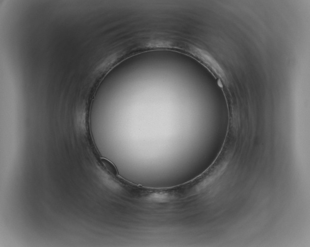 X0000111500441200907211034