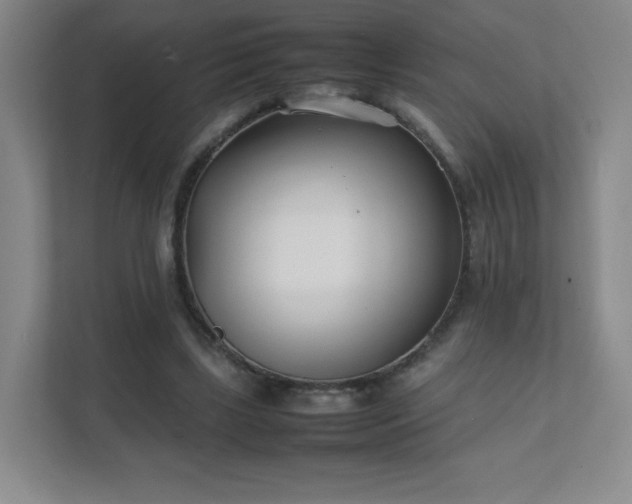 X0000111500443200907211034