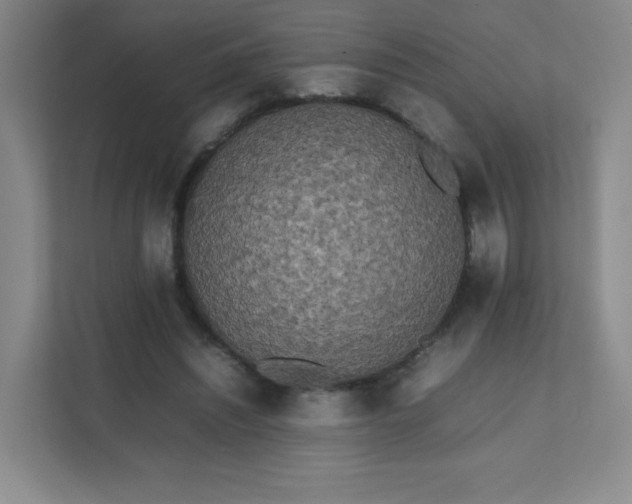 X0000111500444200907211034