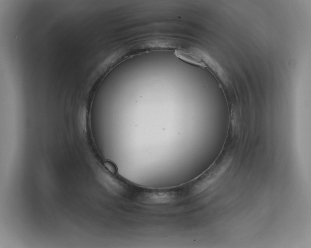 X0000111500445200907211034