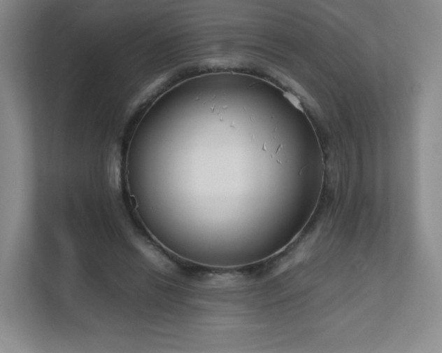 X0000111500446200907211034