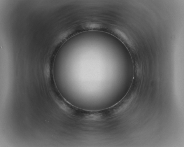 X0000111500447200907211034