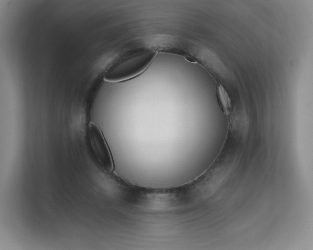 X0000111500448200907211034