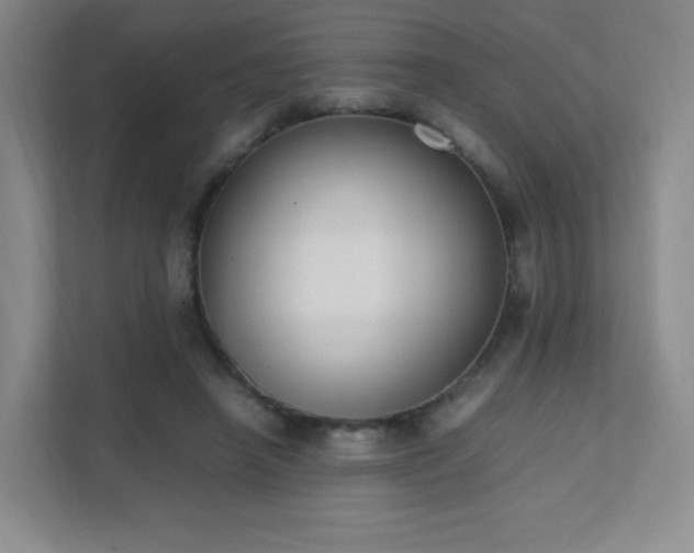 X0000111500450200907211034