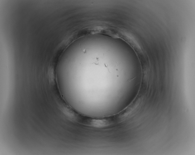 X0000111500457200907211034