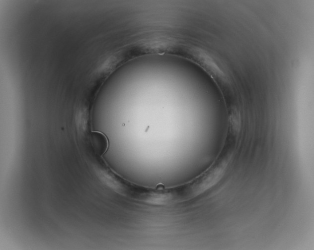 X0000111500458200907211034