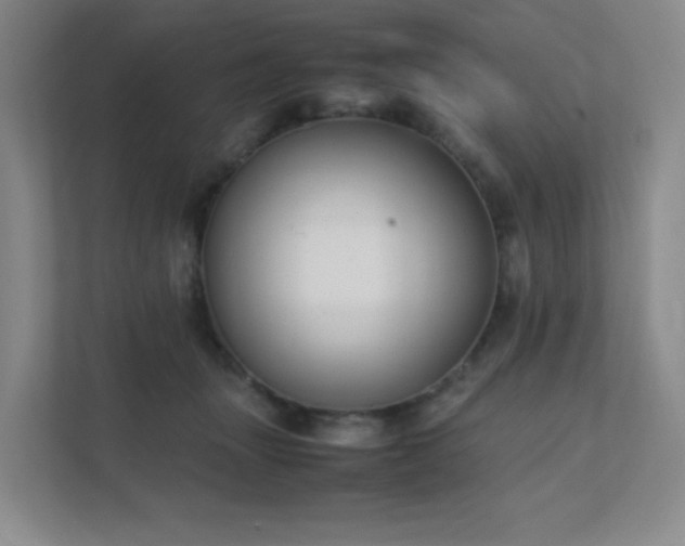 X0000111500463200907211034