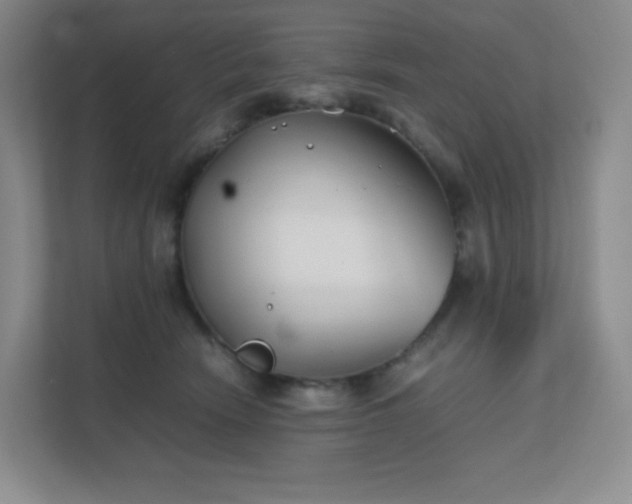 X0000111500466200907211034