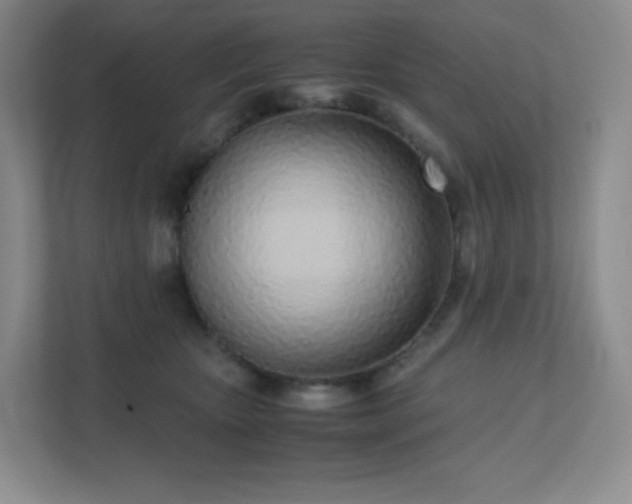 X0000111500467200907211034